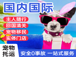 漠河航空货运国际宠物托运 【国